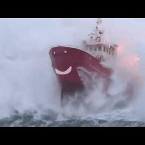 Meet your Posher, Bd